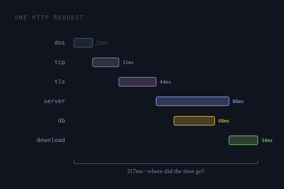 One HTTP request as a waterfall: DNS, TCP, TLS, server, database and download bars adding up to 217 milliseconds.